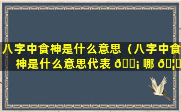 八字中食神是什么意思（八字中食神是什么意思代表 🐡 哪 🦆 些）